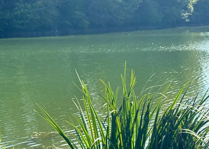 Lac De Lumiere. Relax With Rural Lakeside Living