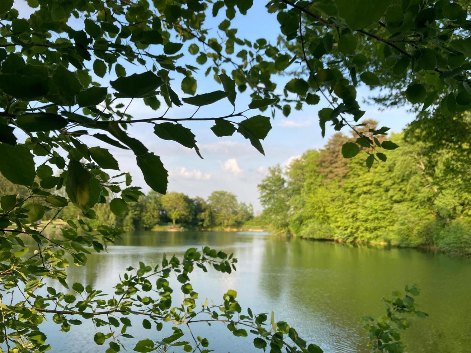 De Lumiere. Relax With Rural Lakeside Living Apartment